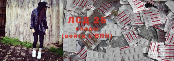 экстази Бородино