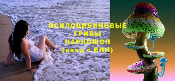 экстази Бородино