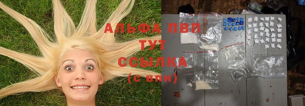 экстази Бородино