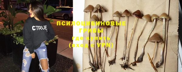 экстази Бородино